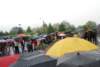dsc_0385_small.jpg