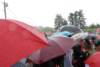 dsc_0388_small.jpg
