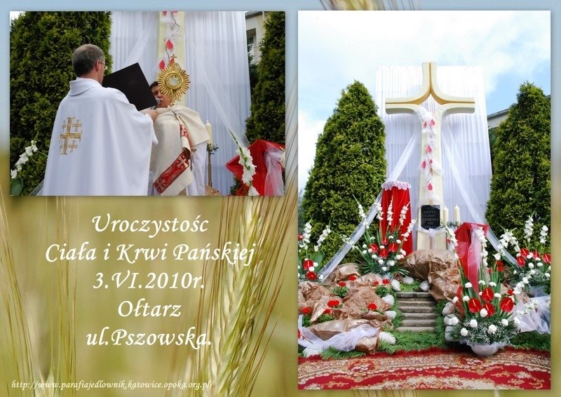 otarzulpszowska.jpg