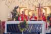 dsc_0131_small.jpg