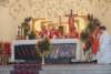 dsc_0136_small.jpg