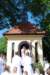 dsc_0050_small.jpg
