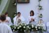 dsc_0071_small.jpg
