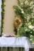 dsc_0117_small.jpg