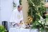 dsc_0127_small.jpg