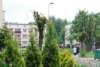 dsc_0143_small.jpg