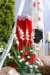 dsc_0201_small.jpg