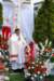 dsc_0221_small.jpg