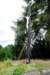 dsc_0010_small.jpg
