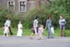 dsc_0124_small.jpg