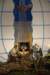 dsc_0024_small.jpg