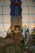 dsc_0037_small.jpg
