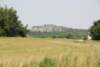 dsc_0041_small.jpg
