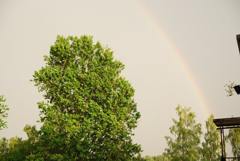 dsc_0063.jpg
