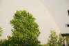 dsc_0063_small.jpg