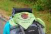 dsc_0098_small.jpg