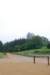 dsc_0101_small.jpg