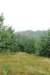dsc_0112_small.jpg