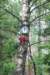 dsc_0113_small.jpg