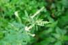 dsc_0114_small.jpg