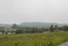 dsc_0115_small.jpg