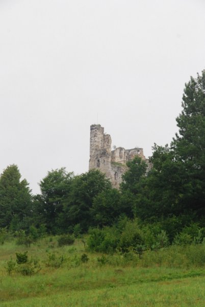 dsc_0118.jpg