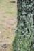 dsc_0151_small.jpg