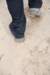 dsc_0155_small.jpg