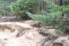 dsc_0156_small.jpg