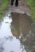 dsc_0163_small.jpg