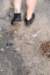 dsc_0165_small.jpg