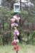dsc_0168_small.jpg