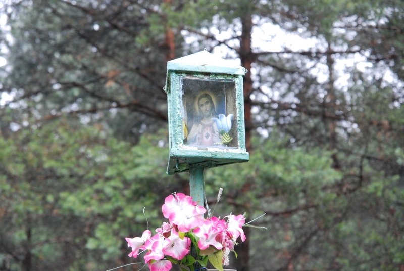 dsc_0169.jpg