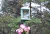dsc_0169_small.jpg