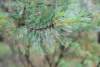 dsc_0170_small.jpg