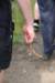 dsc_0176_small.jpg