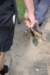 dsc_0178_small.jpg