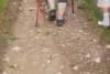 dsc_0182_small.jpg