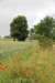 dsc_0183_small.jpg