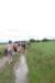 dsc_0191_small.jpg