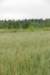 dsc_0192_small.jpg