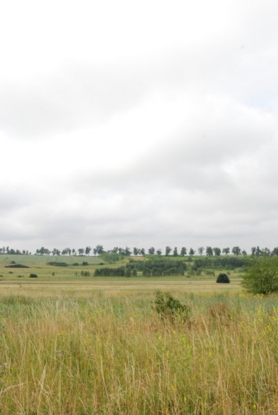 dsc_0203.jpg