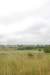 dsc_0203_small.jpg