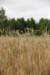 dsc_0358_small.jpg