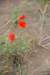 dsc_0360_small.jpg