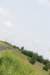 dsc_0365_small.jpg