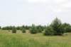 dsc_0366_small.jpg