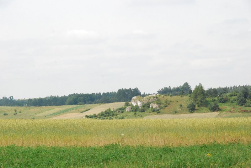 dsc_0368.jpg