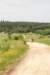 dsc_0371_small.jpg