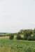 dsc_0375_small.jpg
